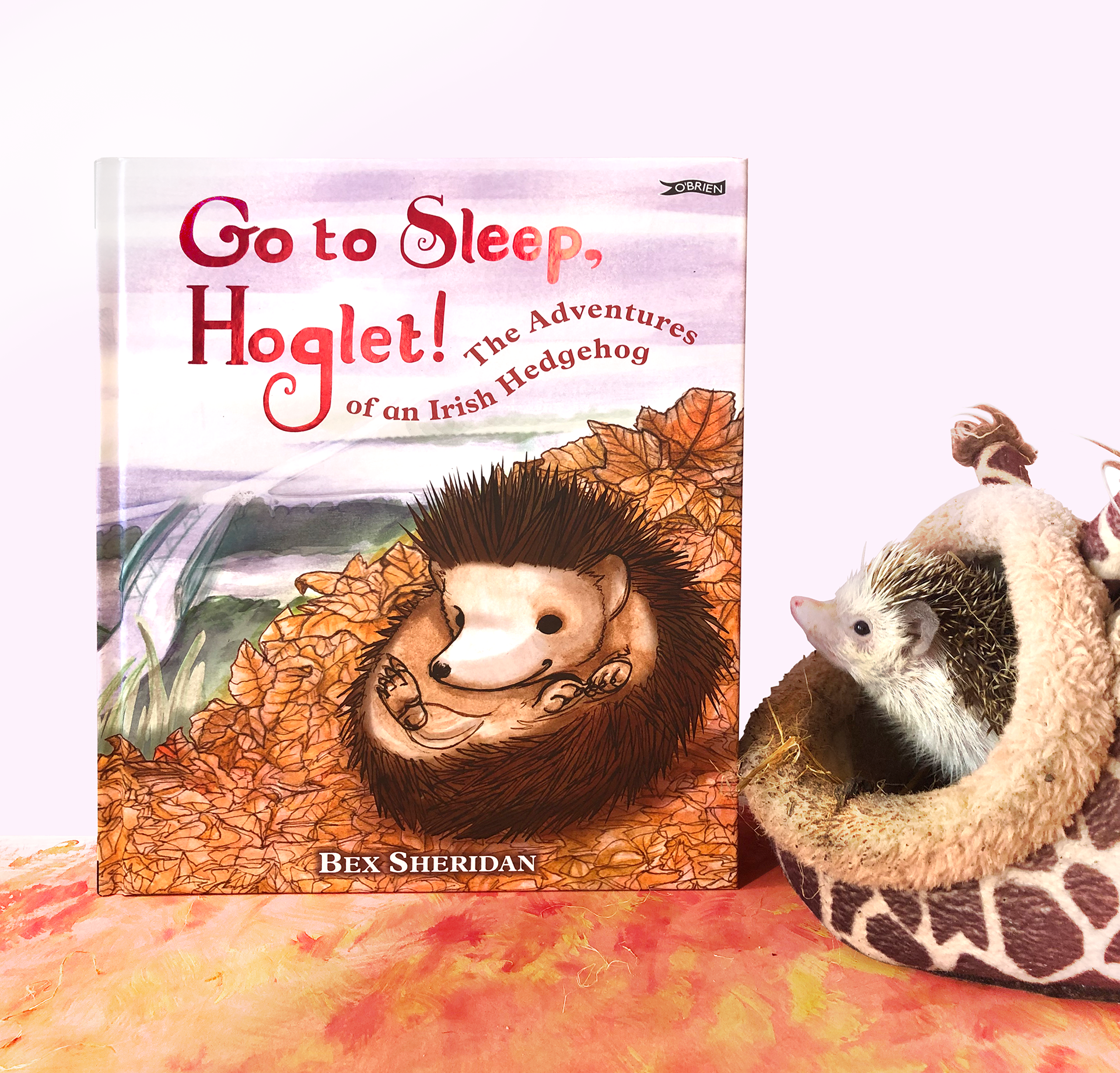 Go to Sleep, Hoglet!